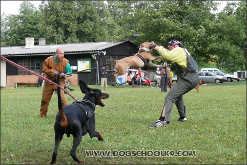 Training camp - Lukova 2007