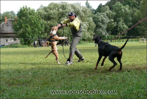 Training camp - Lukova 2007