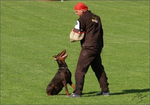 Sasha - IDC worldchampionship 2007