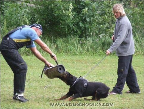 Summer training camp in Estonia 2007