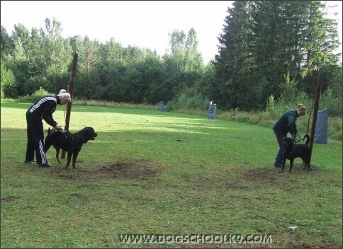 Summer training camp in Estonia 2007