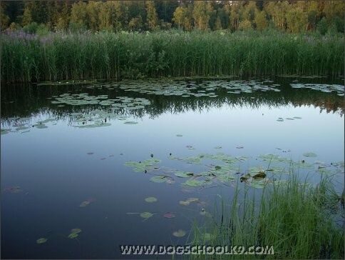 Summer training camp in Estonia 2007