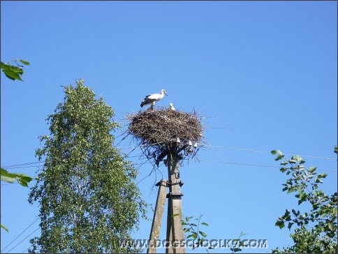 Summer training camp in Estonia 2007