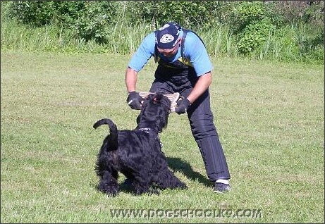 Summer training camp in Estonia 2007