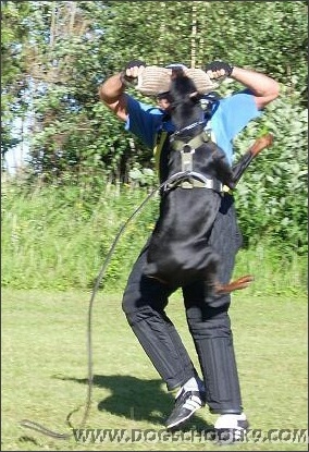 Summer training camp in Estonia 2007