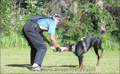 Summer training camp in Estonia 2007