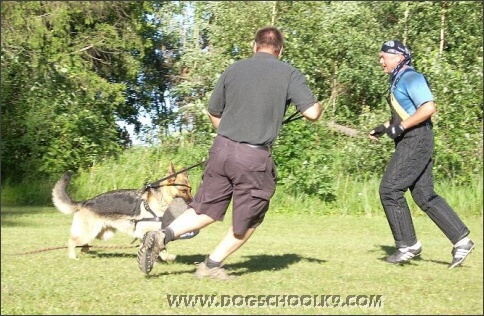 Summer training camp in Estonia 2007