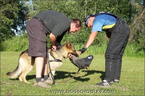 Summer training camp in Estonia 2007