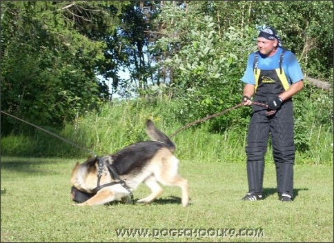 Summer training camp in Estonia 2007