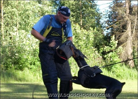 Summer training camp in Estonia 2007