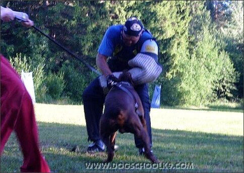 Summer training camp in Estonia 2007