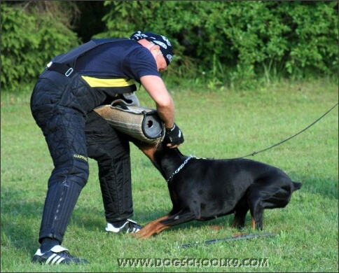 Summer training camp in Estonia 2007