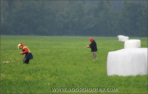 Summer training camp in Estonia 2007