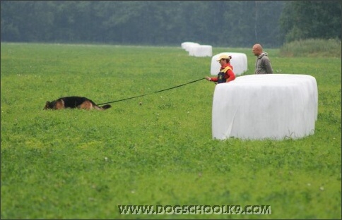 Summer training camp in Estonia 2007