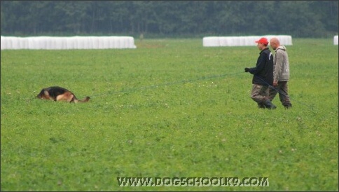 Summer training camp in Estonia 2007