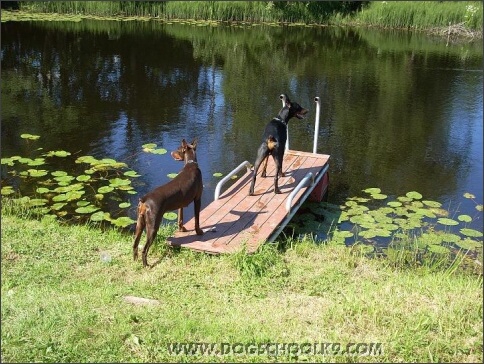 Summer training camp in Estonia 2007