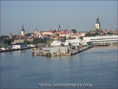 Summer training camp in Finland 2007