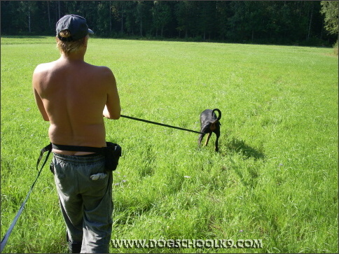 Summer training camp in Finland 2007