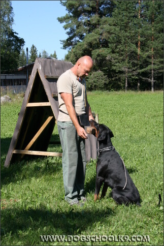 Summer training camp in Finland 2007