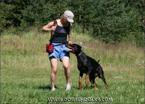 Summer training camp in Finland 2007