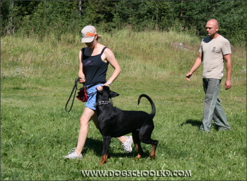 Summer training camp in Finland 2007