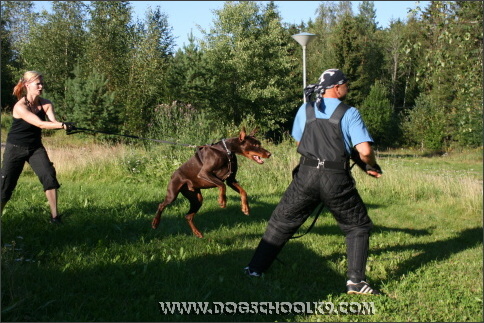 Summer training camp in Finland 2007