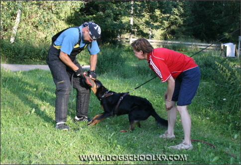 Summer training camp in Finland 2007