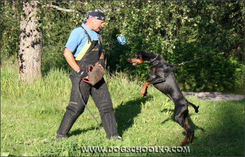 Summer training camp in Finland 2007