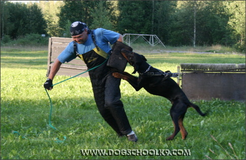 Summer training camp in Finland 2007