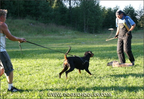 Summer training camp in Finland 2007