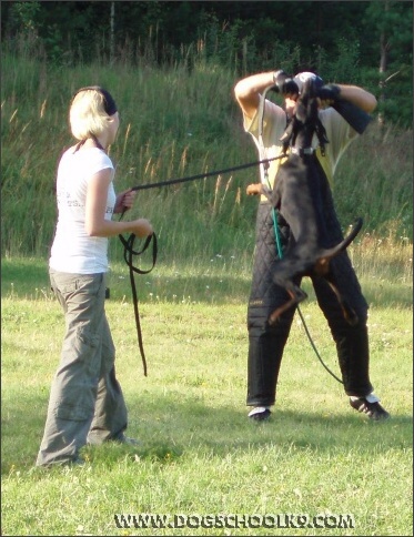 Summer training camp in Finland 2007