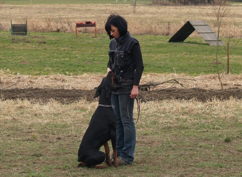 Synthie Pasecke udoli - obedience