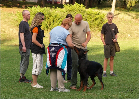 Summer training camp - Jelenec - 2007