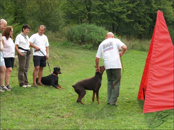 Summer training camp - Jelenec - 2007