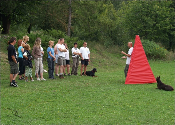 Summer training camp - Jelenec - 2007