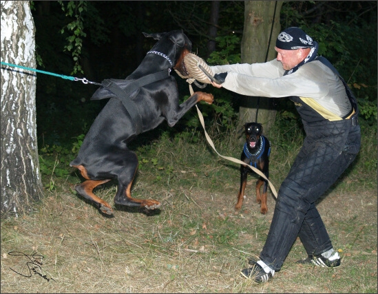 Summer training camp - Jelenec - 2007