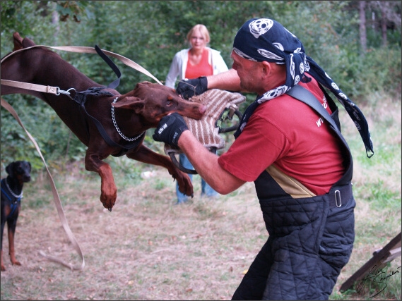 Summer training camp - Jelenec - 2007