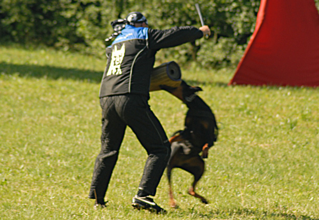 Jelenec ztp 2009 583 (112).jpg