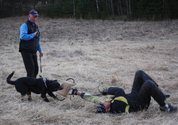 Training in Finland 5/2009