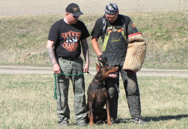 Training in Finland 5/2009