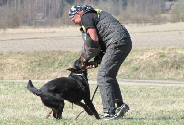 Training in Finland 5/2009