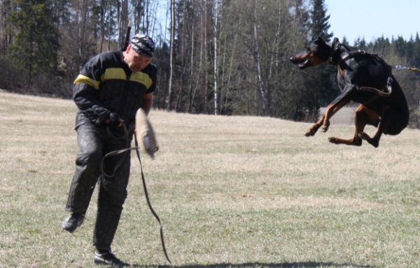 Training in Finland 5/2009