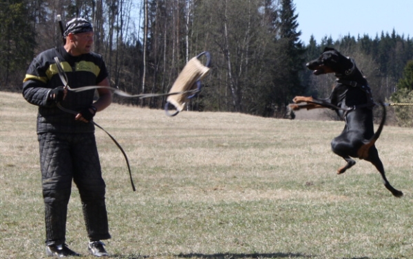 Training in Finland 5/2009