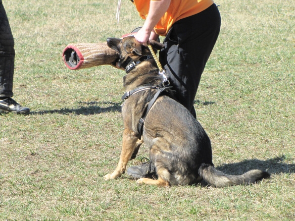 Training in Finland 5/2009