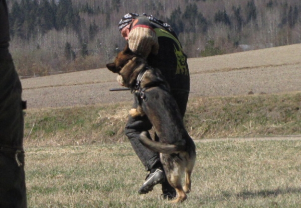 Training in Finland 5/2009