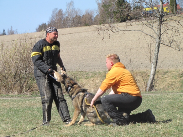 Training in Finland 5/2009