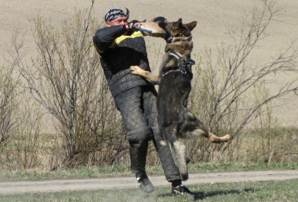 Training in Finland 5/2009