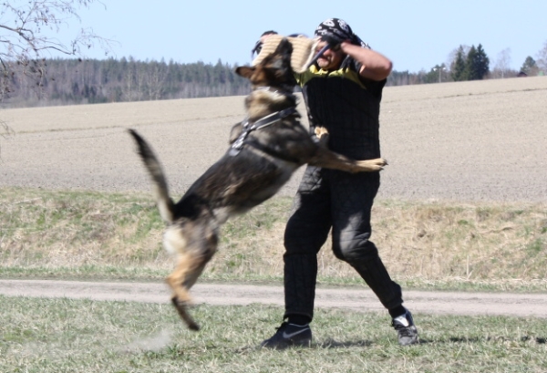 Training in Finland 5/2009