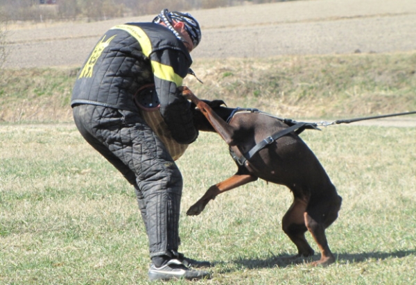 Training in Finland 5/2009