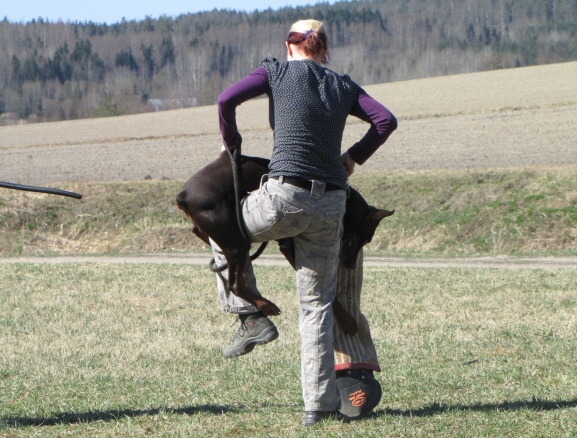 Training in Finland 5/2009